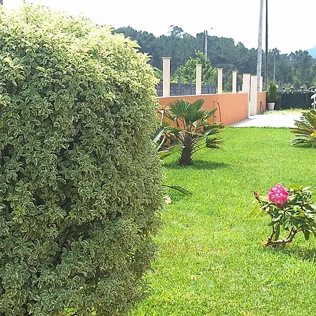 Costa Xuno